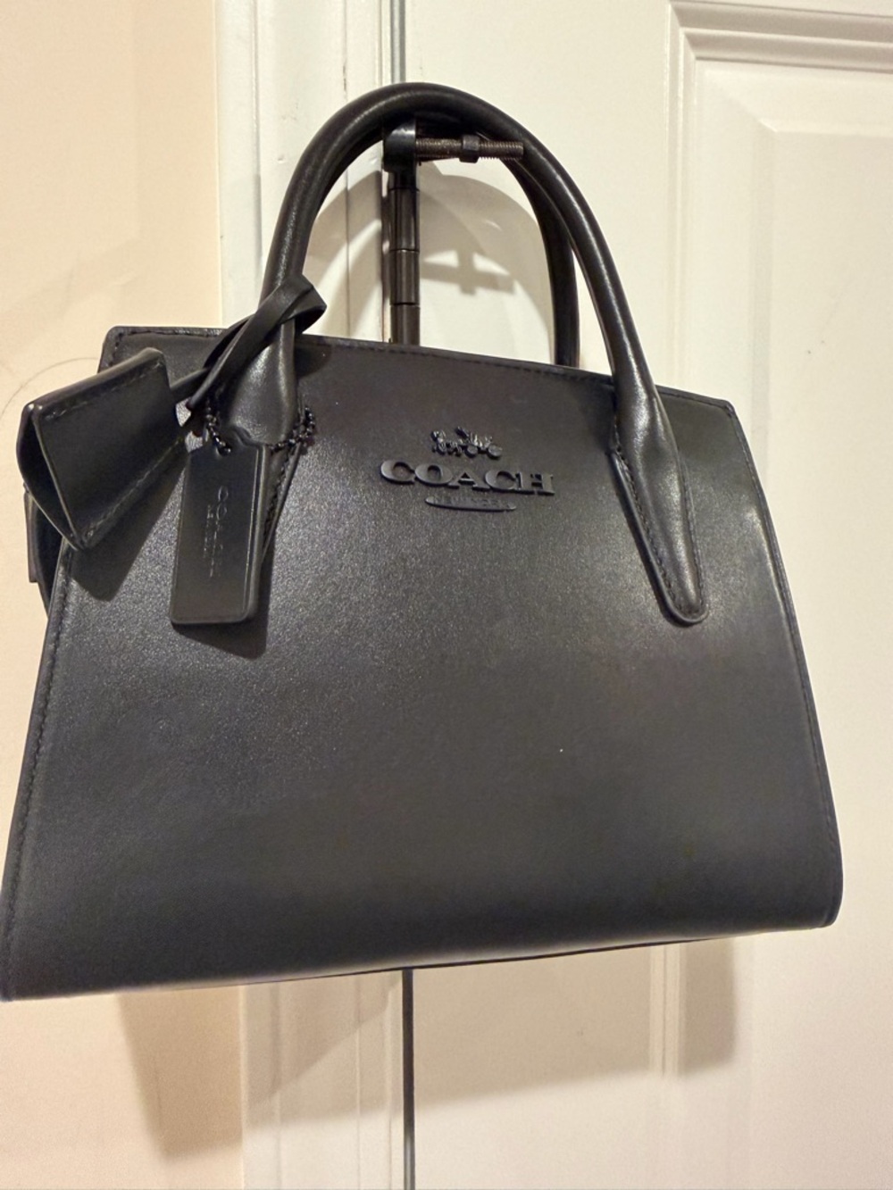 Coach Andrea Small Carryall Bag - Picture 6 of 9